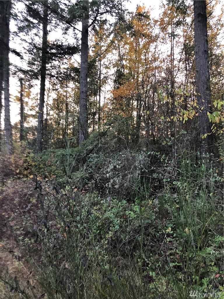 0 158th Ave - Photo 1