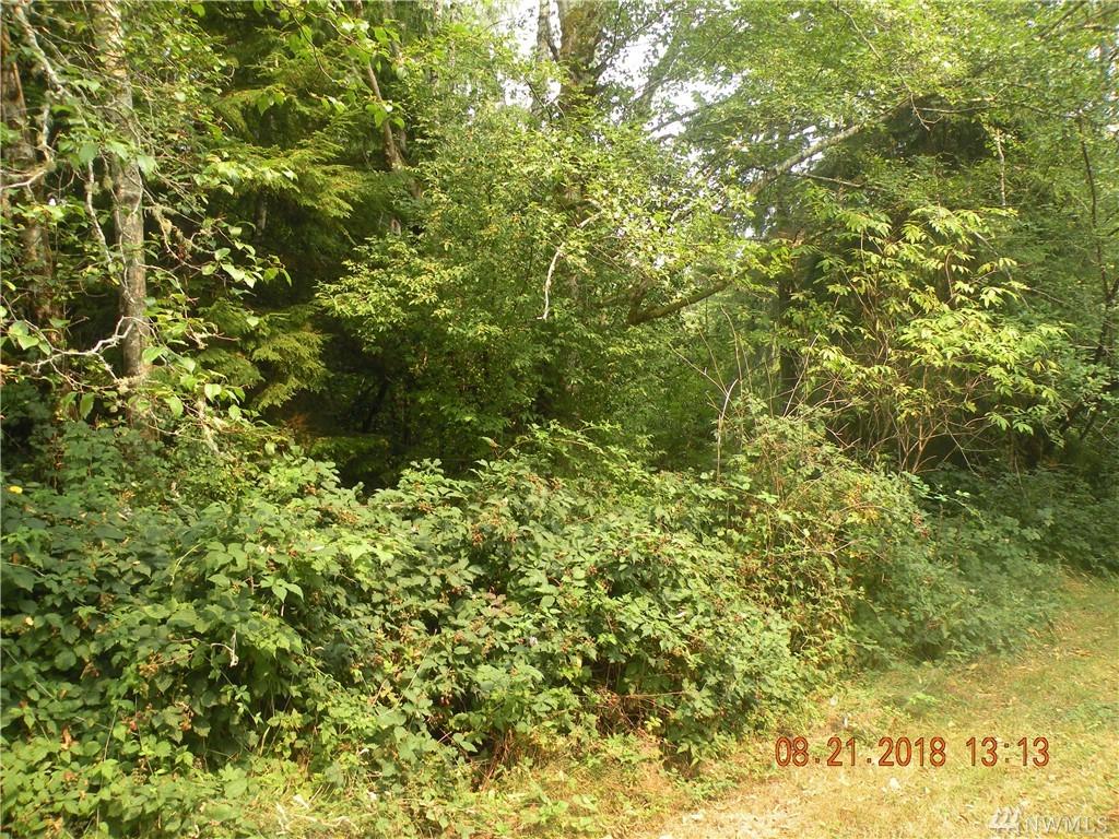 6 Willa View Lane - Photo 1