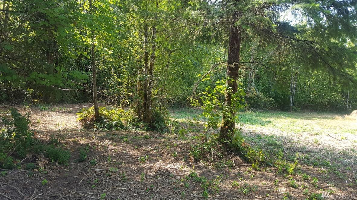 100 Iris Lane - Photo 1