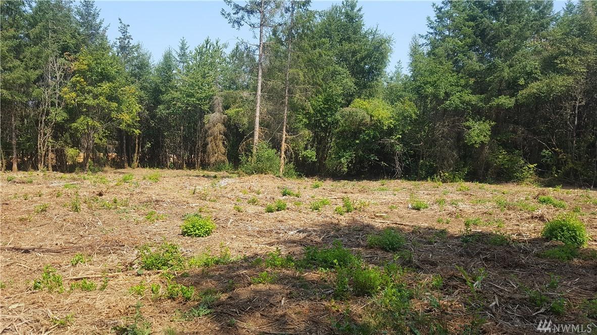 114 Iris Lane - Photo 1