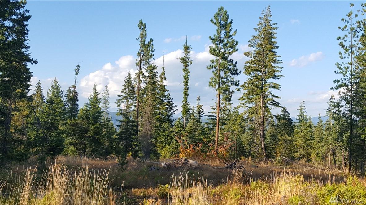 132 Tall Pines Dr - Photo 1