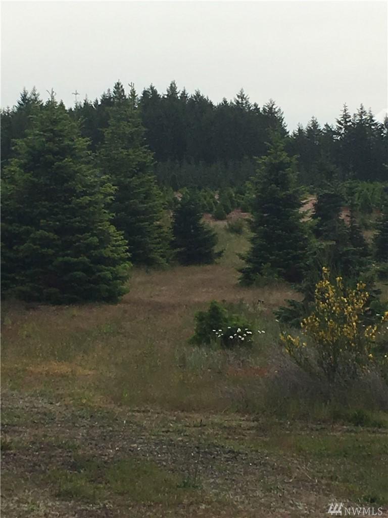 0 Phillips Rd - Photo 1
