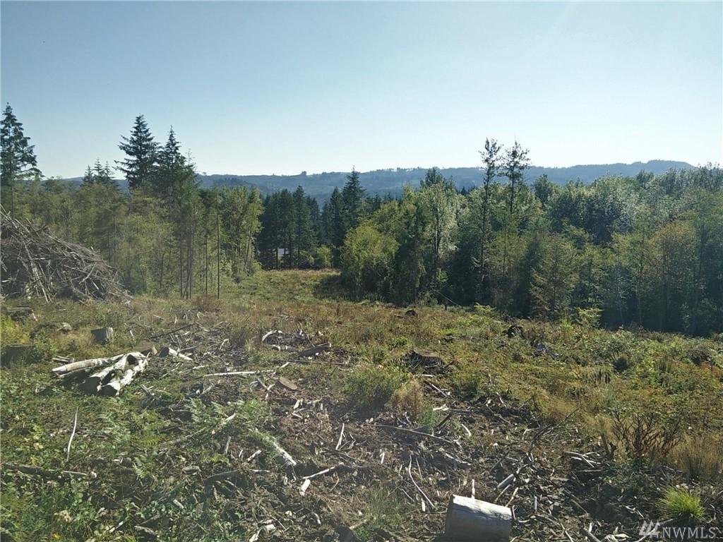 0 S Military Rd - Photo 1