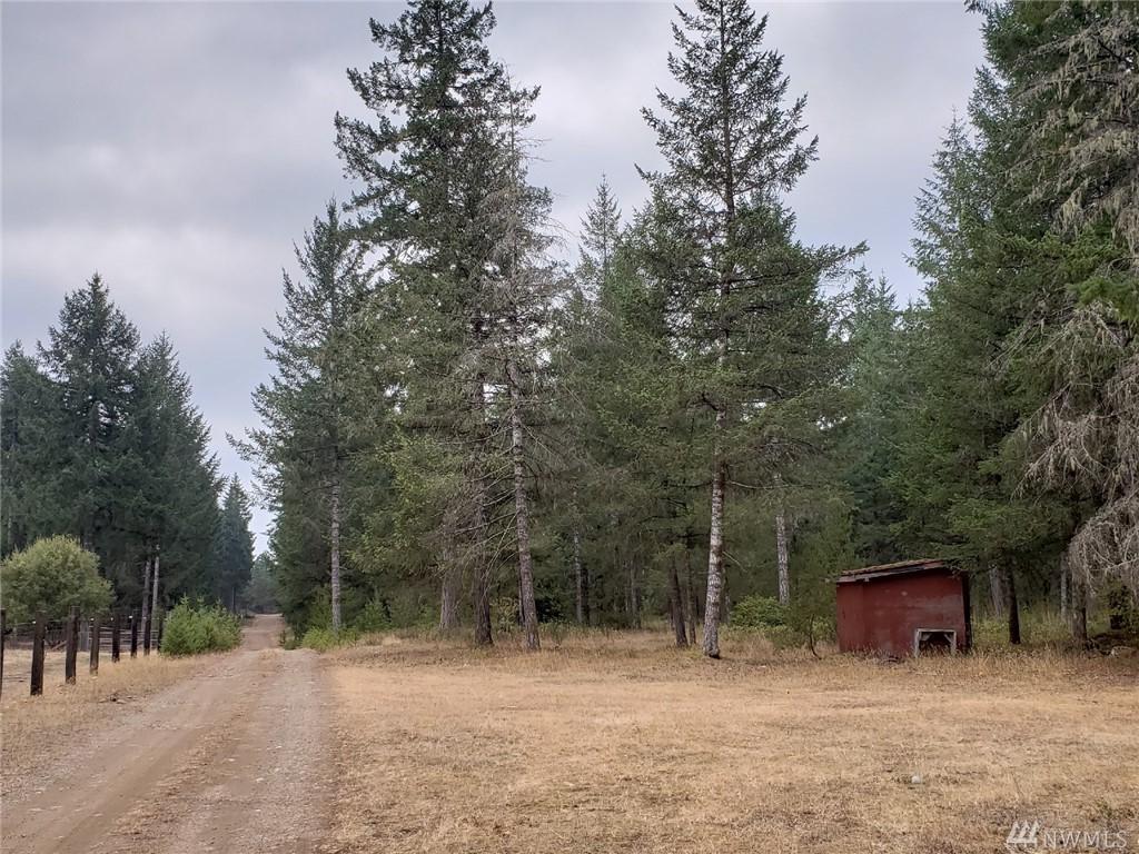 151 Beargrass Lane - Photo 1