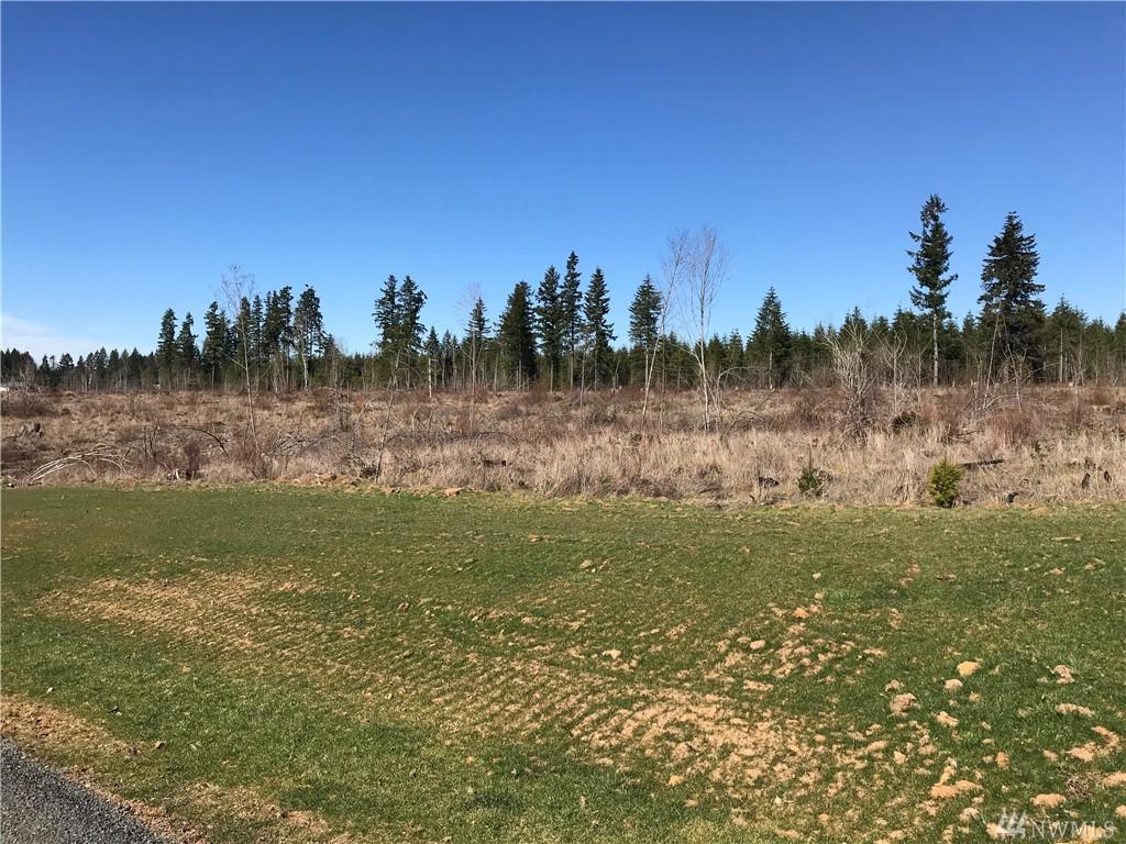 0-Lot 1 Remington Lane - Photo 1