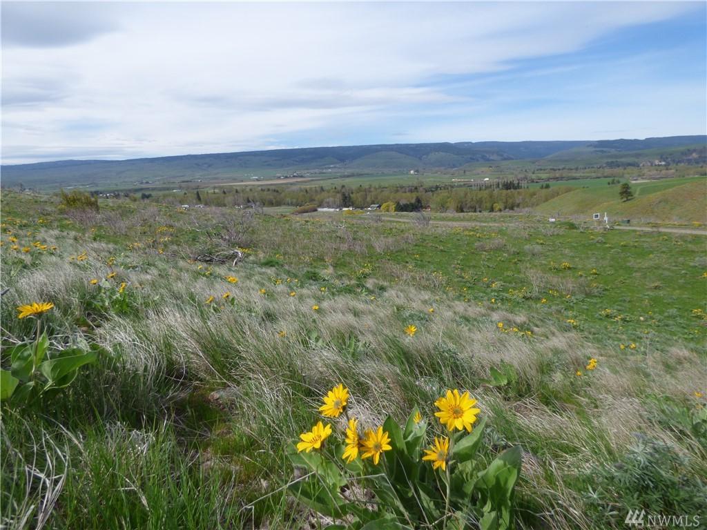 7 Ellensburg Ranch - Photo 1