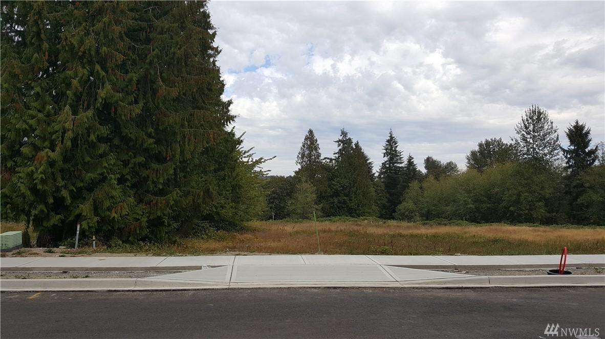20410 132nd Ave Se (Lot #4) - Photo 1