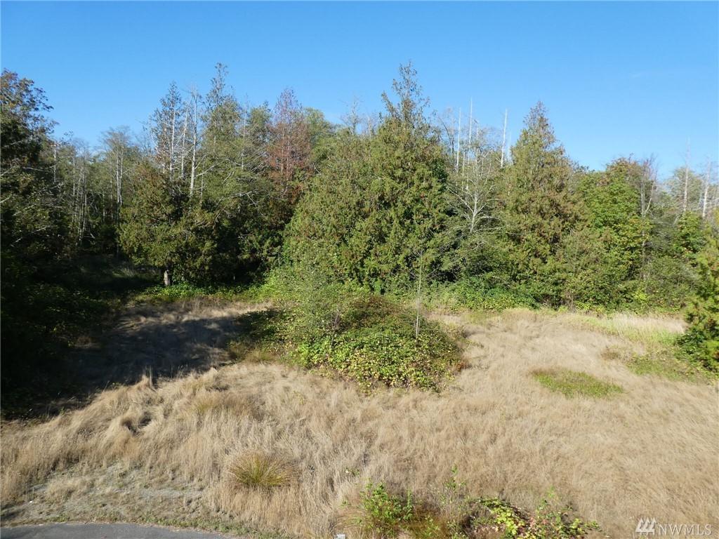 0 Seaview Lane - Photo 1