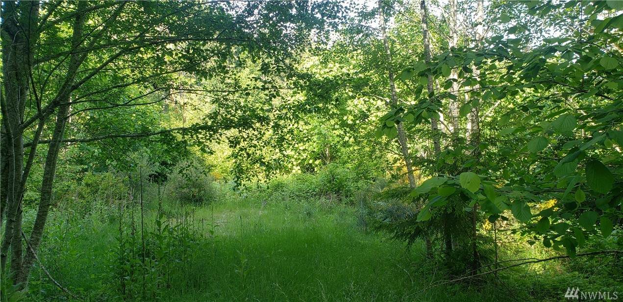 0 Maple Lane - Photo 1