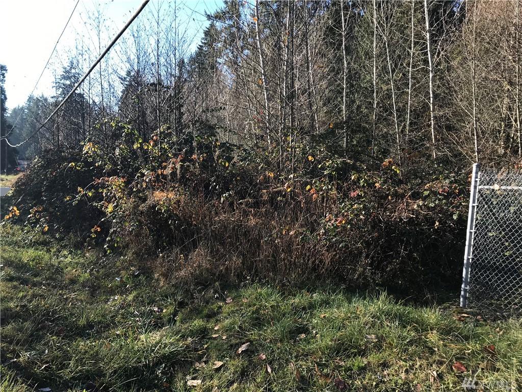 9920 Angeline Rd - Photo 1