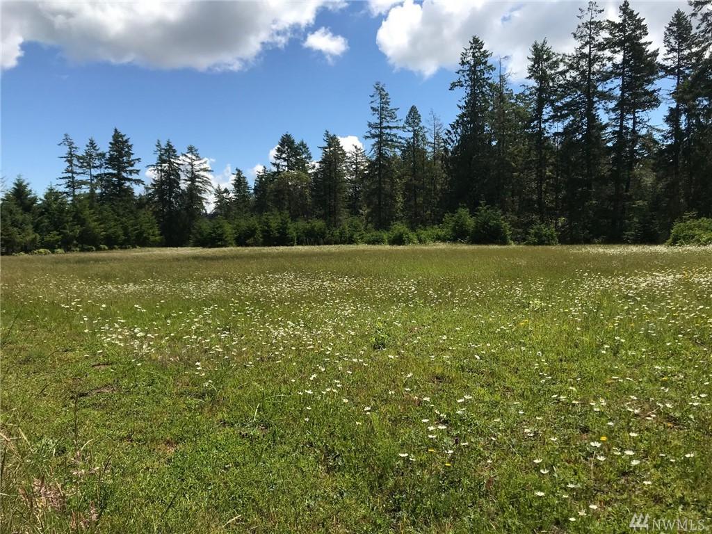 0 Geist Meadows - Photo 1