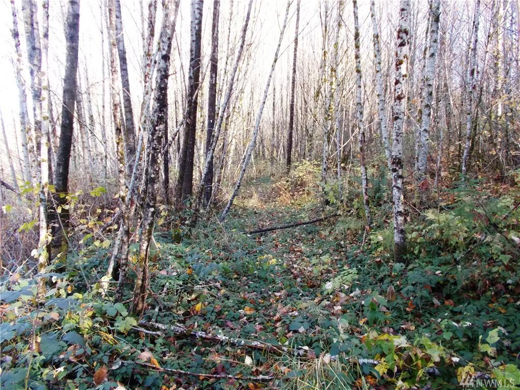 0-xx Buttercup Lane - Photo 1