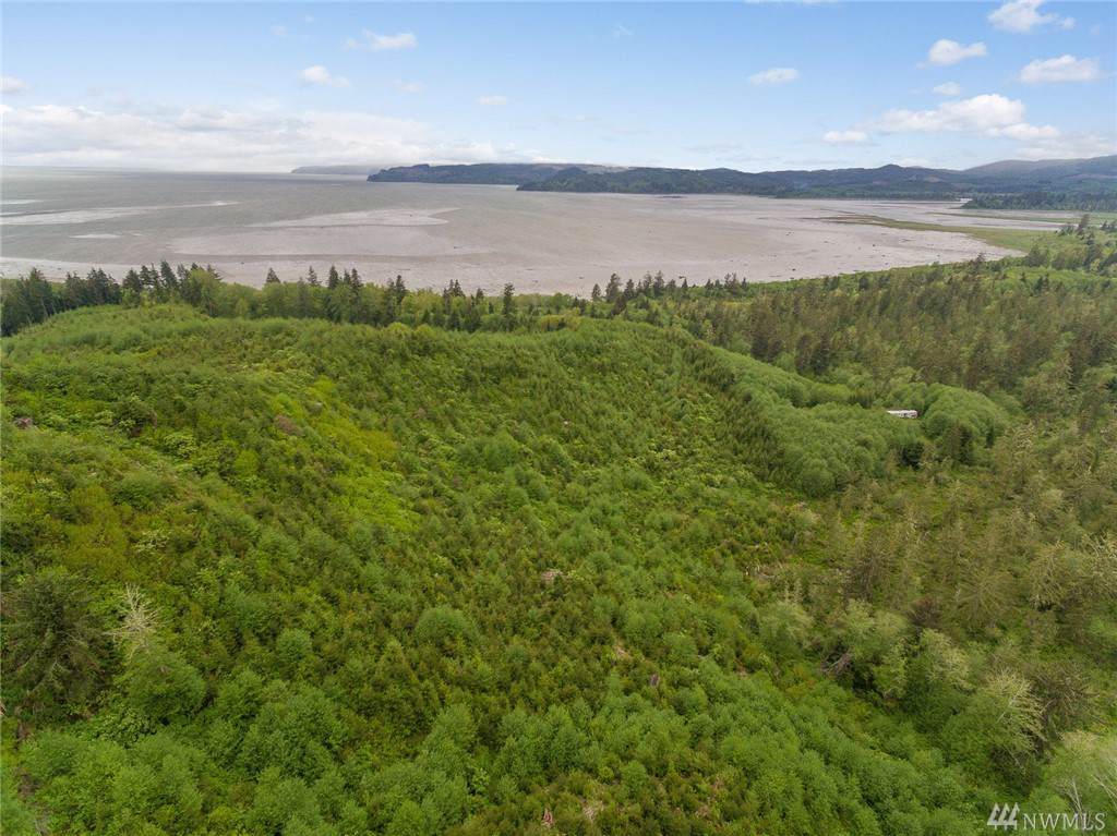 0 Altoona Pillar Rock Rd - Photo 1