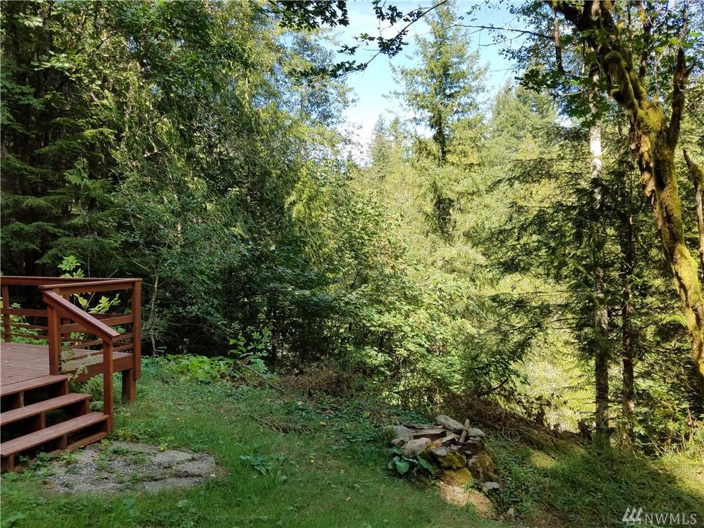 31603 298th Ave - Photo 1