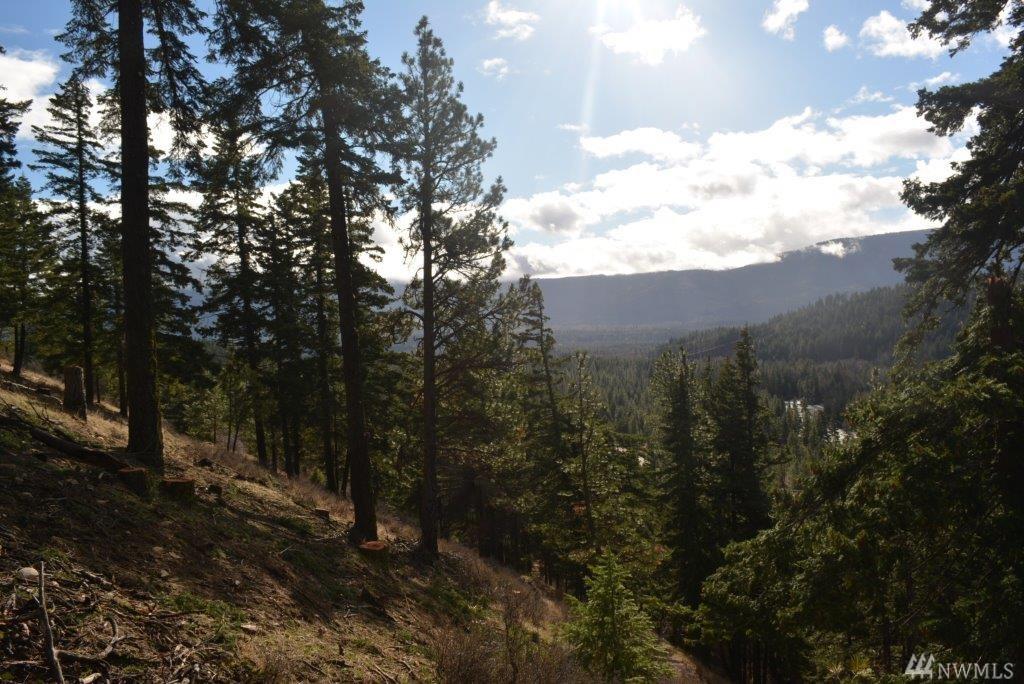 3 Suncadia Trail - Photo 1