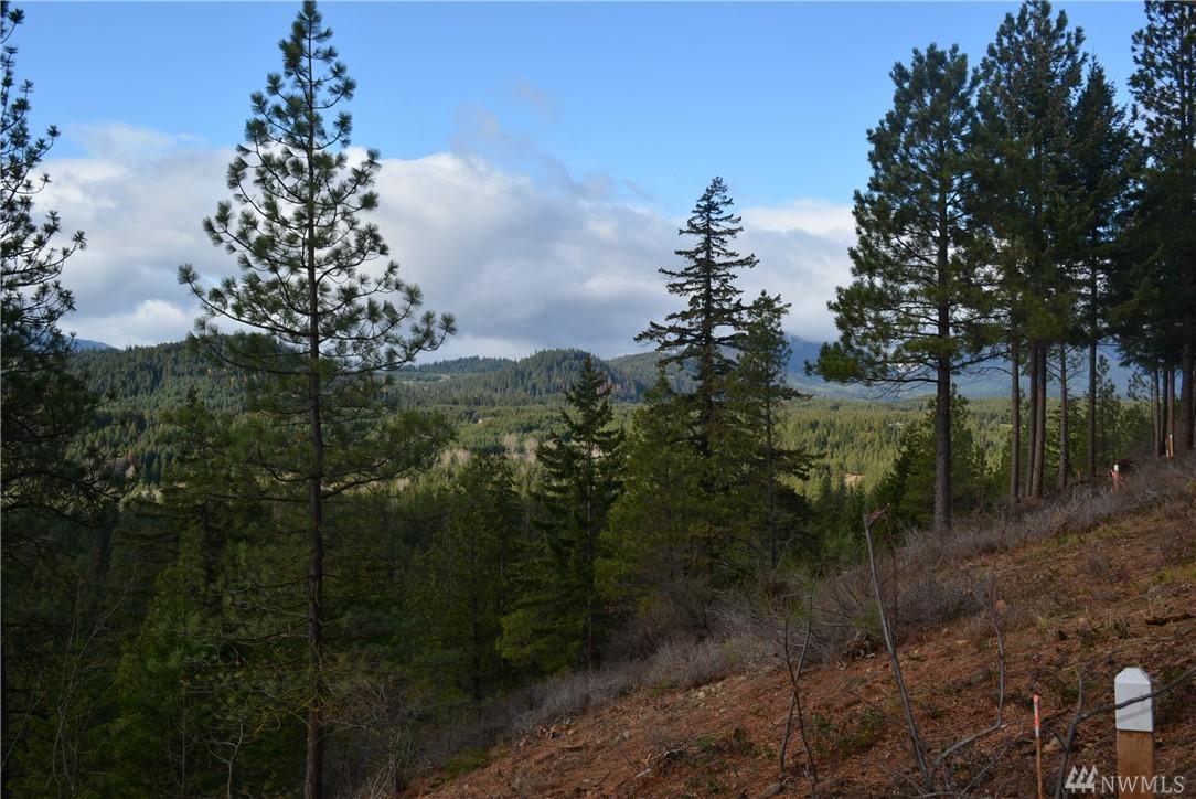 7 Suncadia Trail - Photo 1