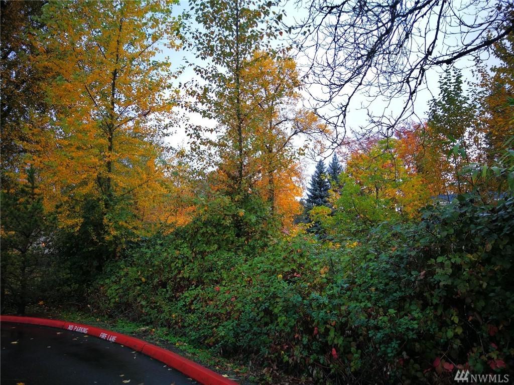 505 Rainier Blvd - Photo 1