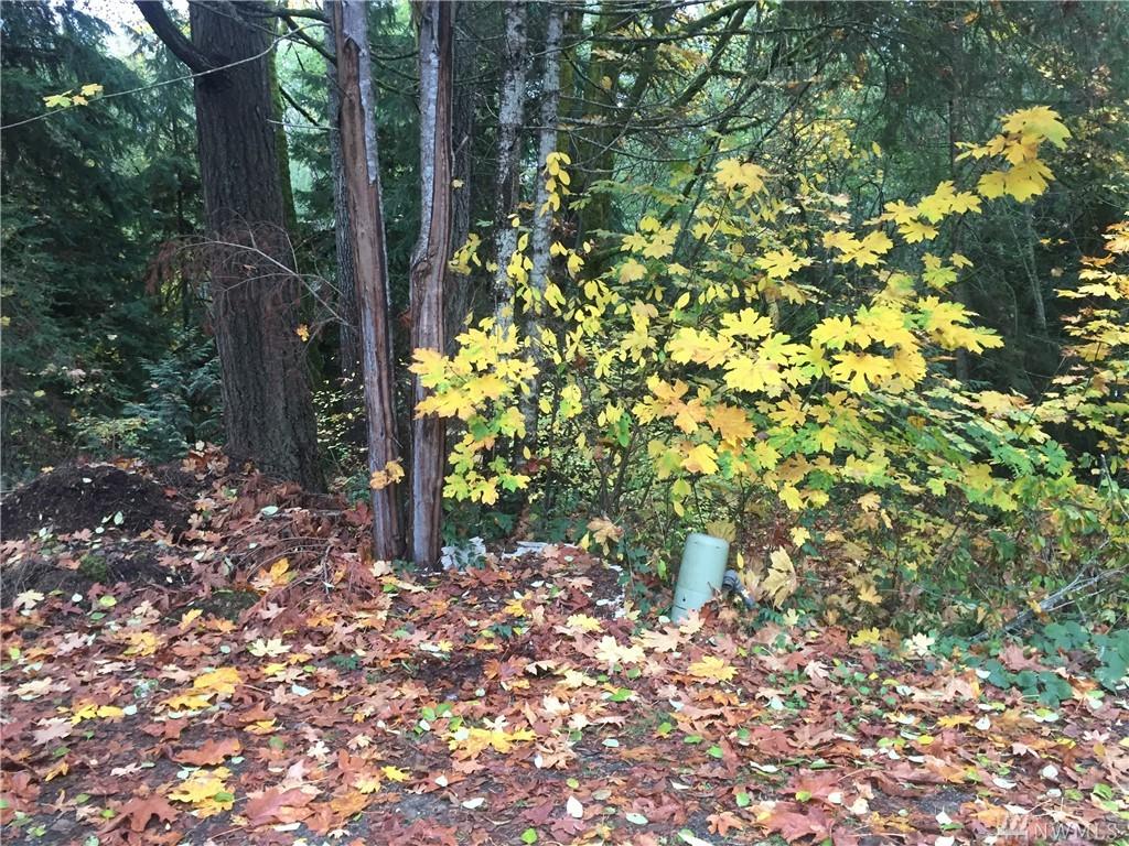71 Schooner Place - Photo 1
