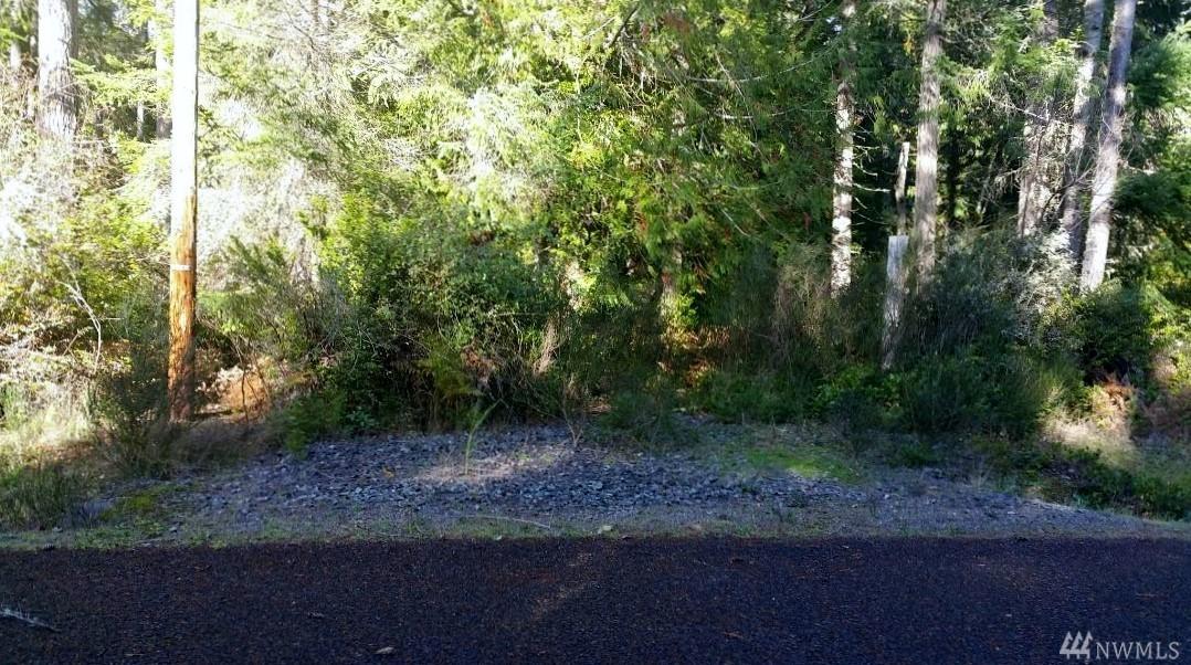 11411 87th Ave - Photo 1