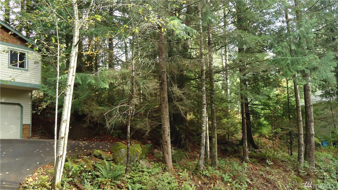 234 Sudden Valley Dr - Photo 1