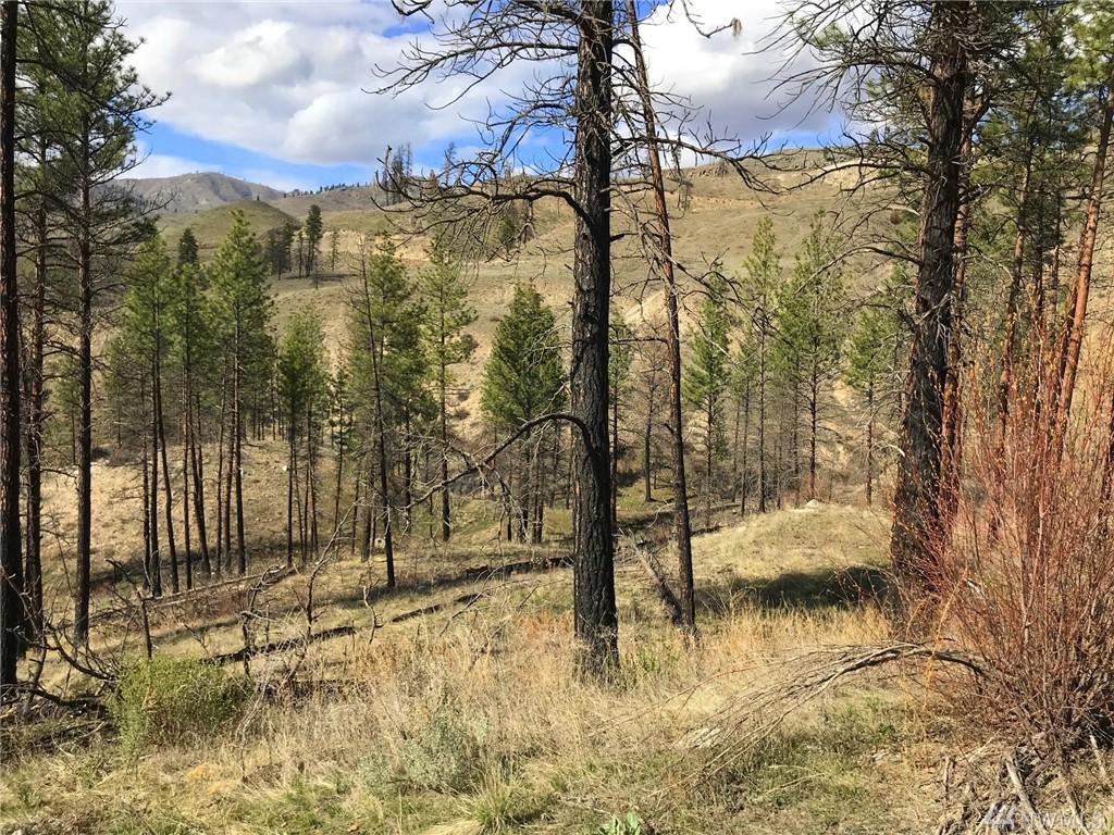 41-C French Creek Rd - Photo 1