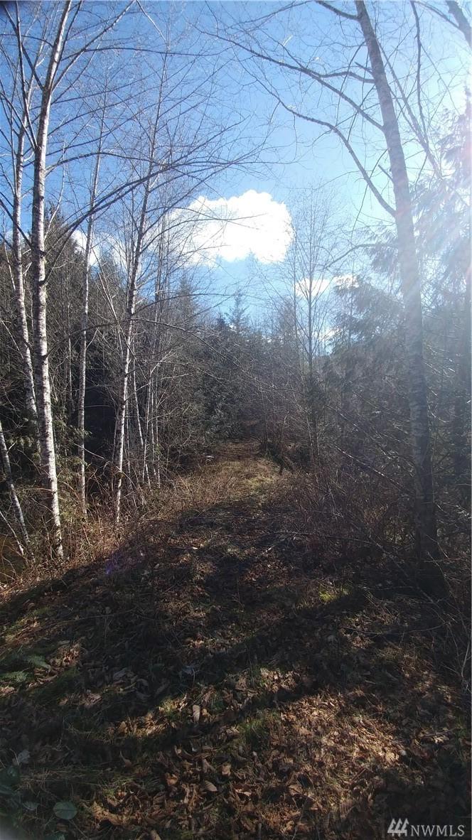29 Meadow Hills Lane - Photo 1