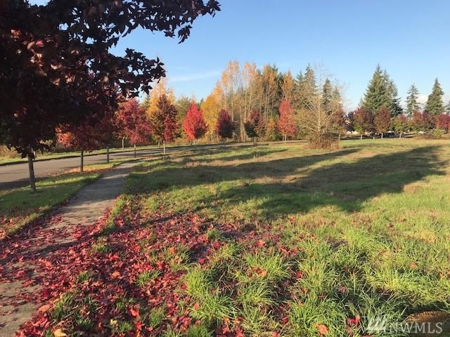 108 Sycamore Lane - Photo 1