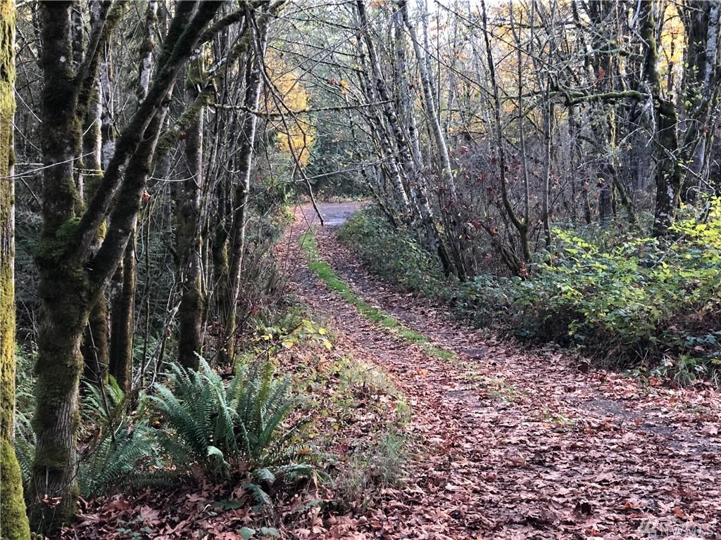 3990 Sand Dollar Rd - Photo 1