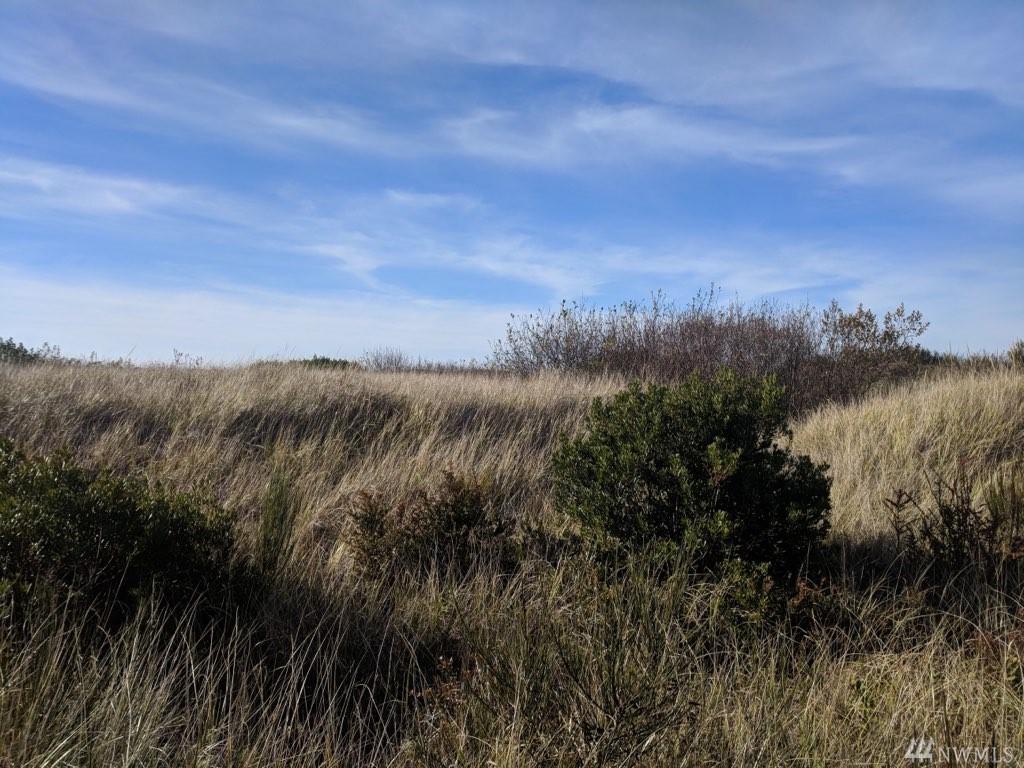 84 Dunes Lane - Photo 1