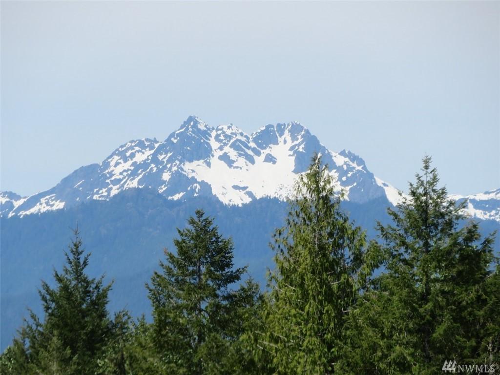 0-Lot 3 Wayne Rd - Photo 1