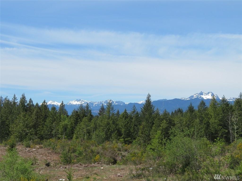 0-Lot 5 Wayne Rd - Photo 1