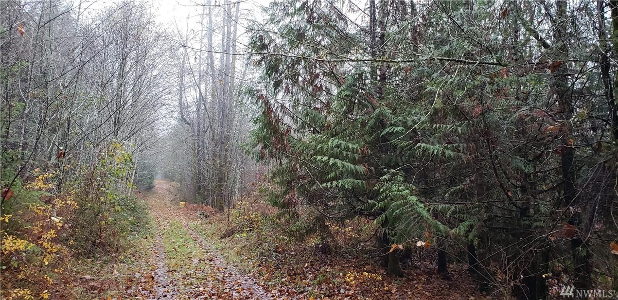0 Agate Rd - Photo 1