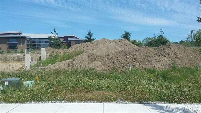 6059 Rossie Lane - Photo 1