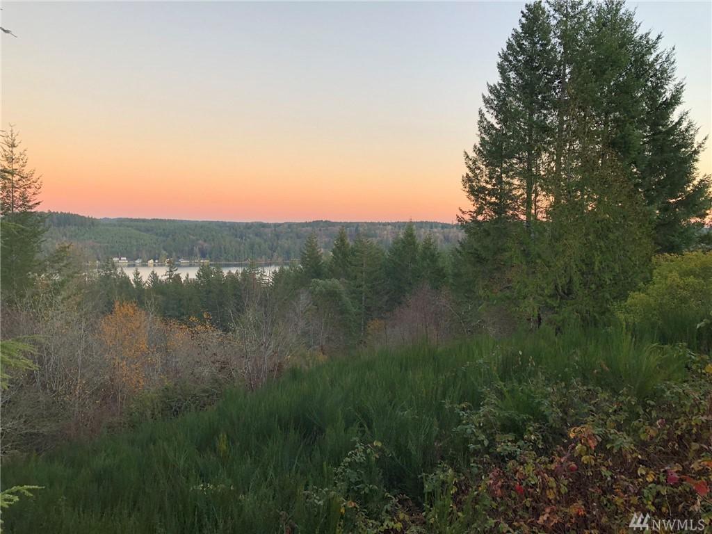 181 Rainier Ct - Photo 1