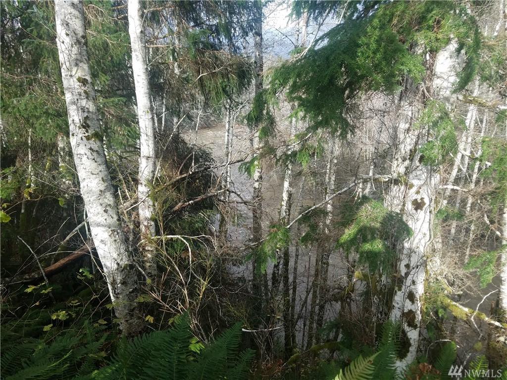9999 Palmer Rd - Photo 1