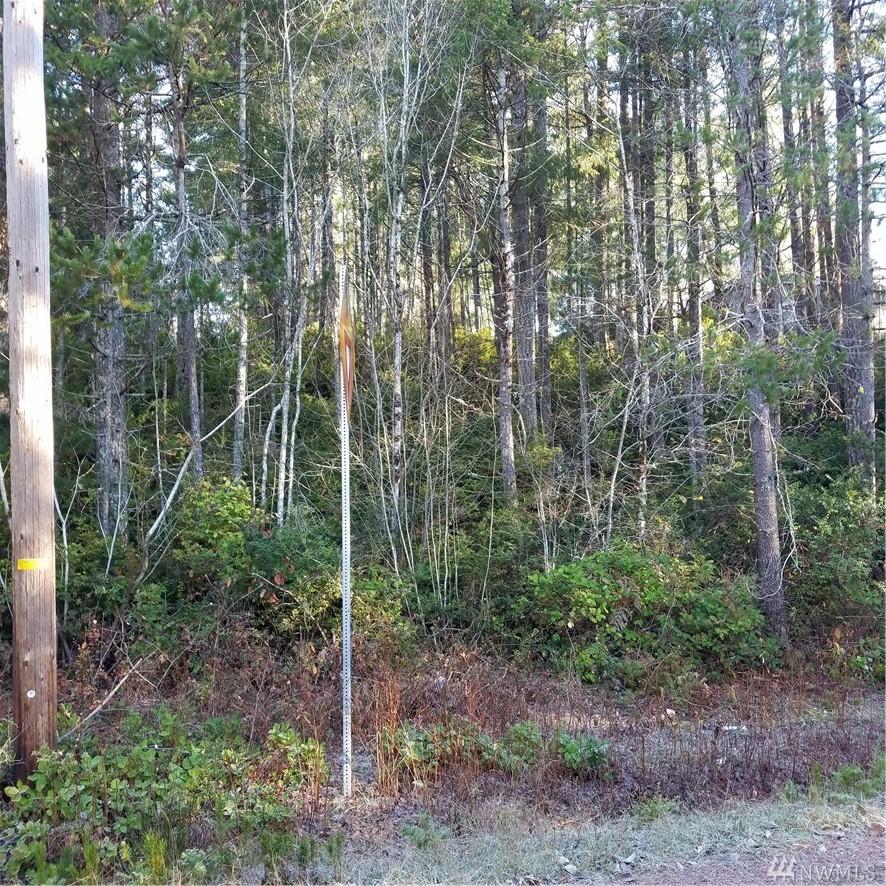 0-Lot 87 Dartmoor Dr - Photo 1