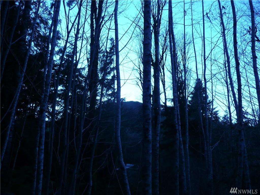 271 Elk Rd - Photo 1