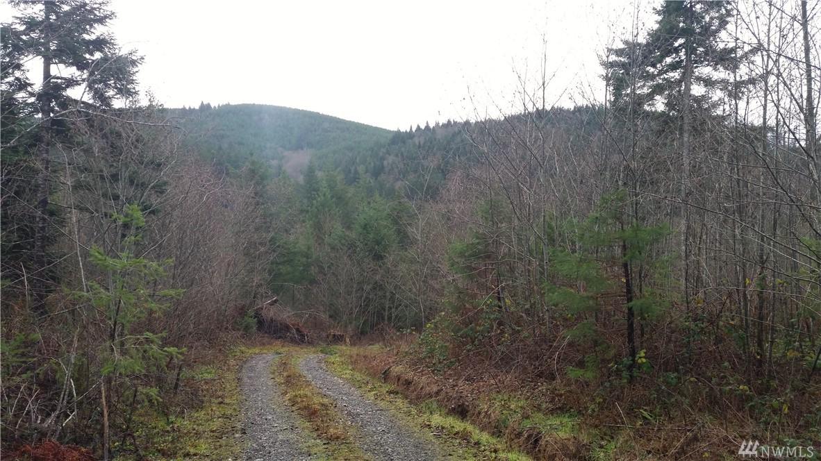 0 Mccleary Rd - Photo 1