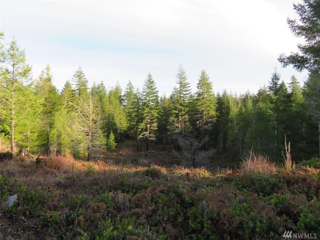 0-Lot 8 Newberry Lane - Photo 1