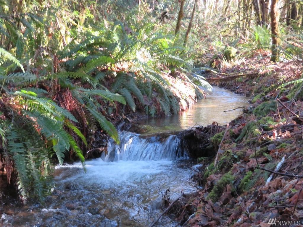 0-Lot 2 Bulb Farm Rd - Photo 1