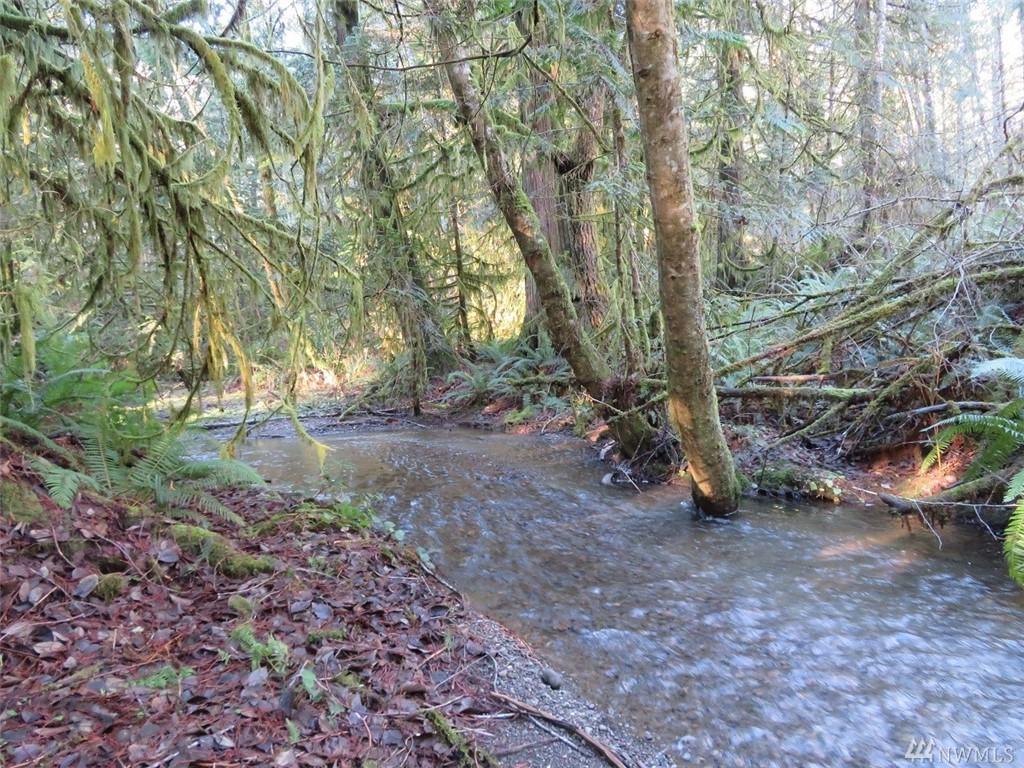 0-Lot 1 Crystal Creek Ct - Photo 1