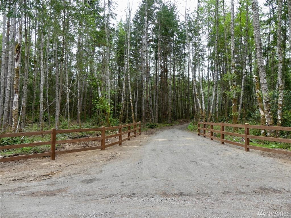 1002 Evergreen Lane - Photo 1