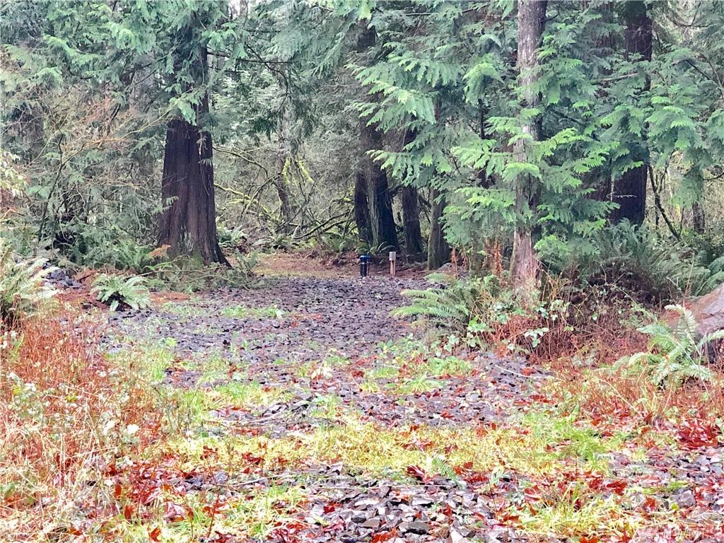 8500 250th Ave - Photo 1