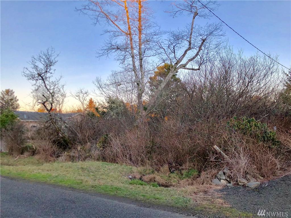 1-xxx Hoquiam Lane - Photo 1