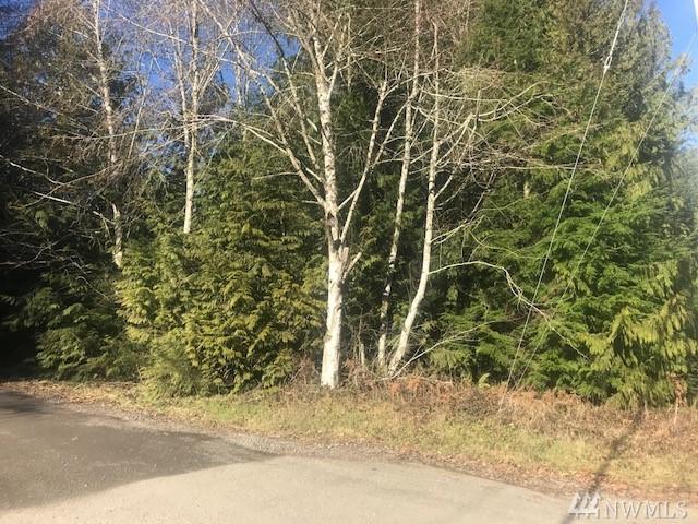 123 Bonkla Lane - Photo 1