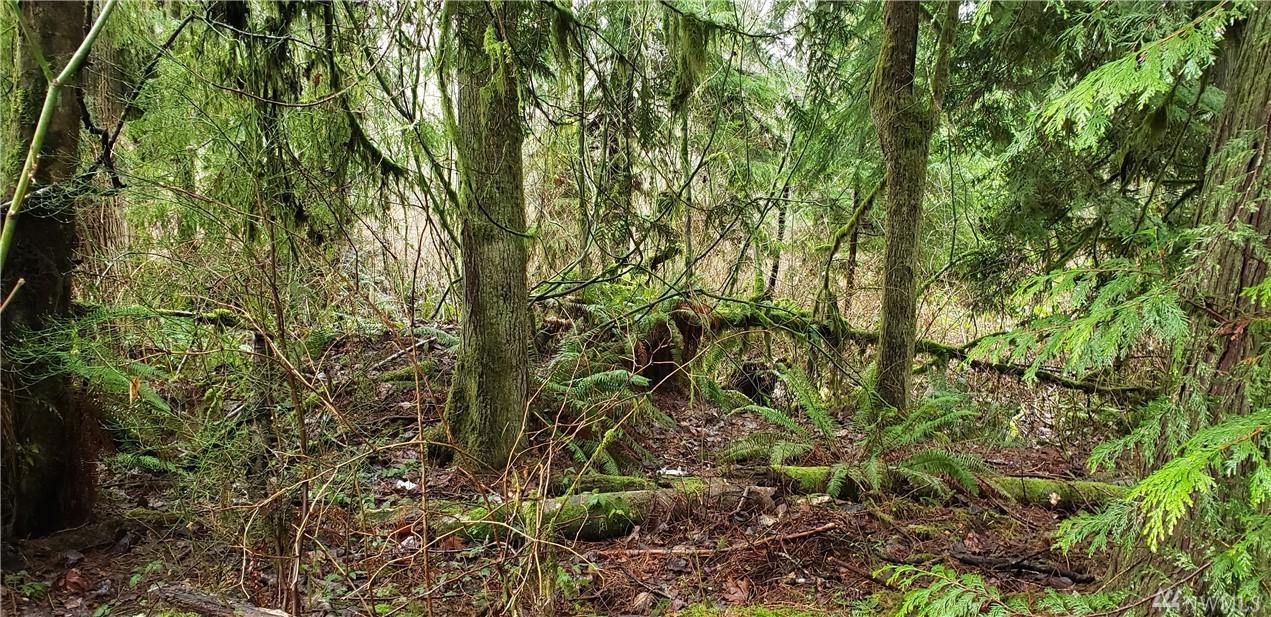 7-X N Lake Roesiger Rd - Photo 1