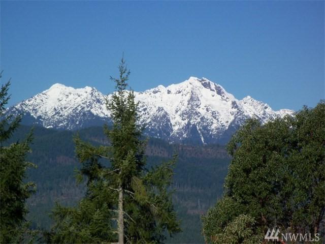 931 Aquila Ridge Rd - Photo 1