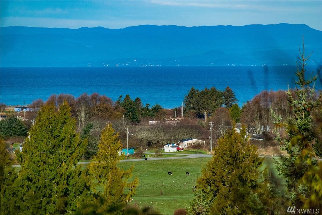 999 Lower Elwha Rd - Photo 1