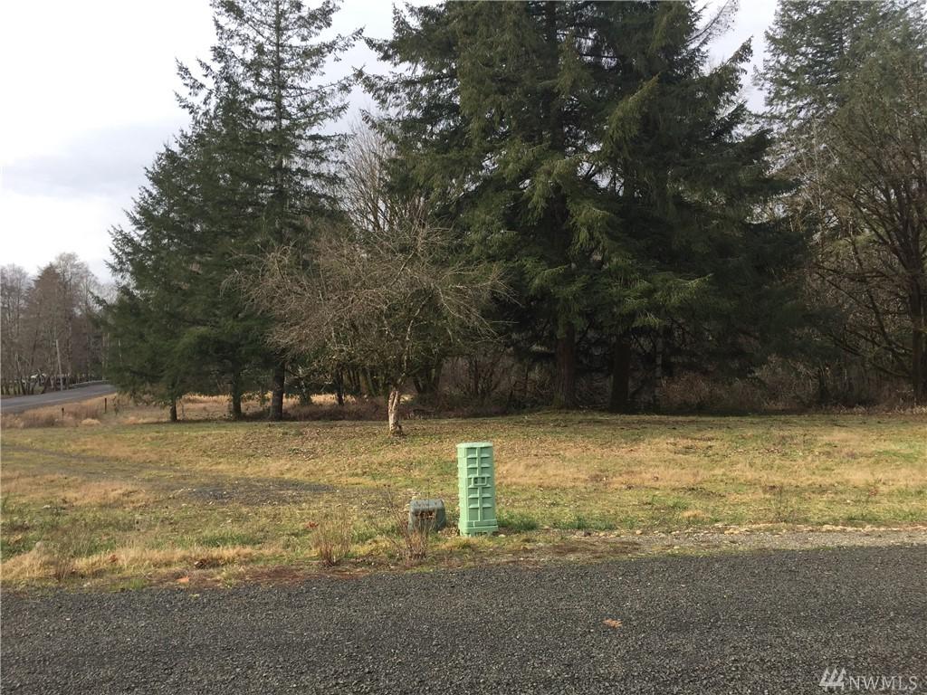 135 Cloquallum Rd - Photo 1