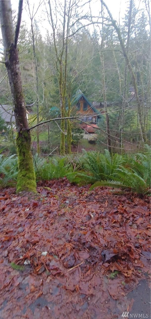 29 Rose Ridge Lp - Photo 1